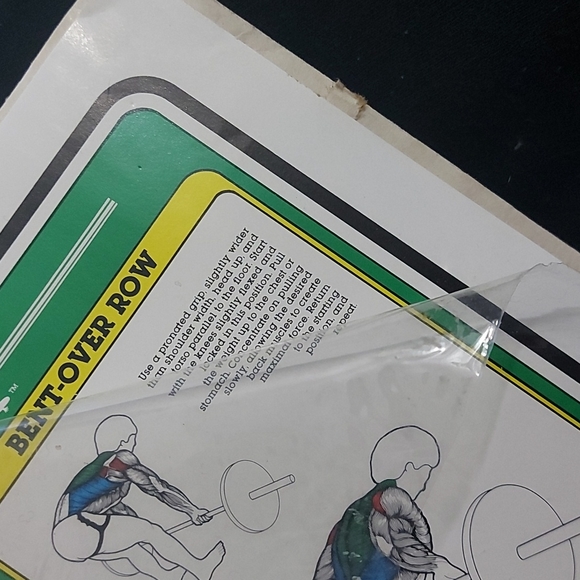 1984 Vintage Bruce Algra Back Workout Fitness Chart Series  - 16" × 11" - Picture 4 of 4